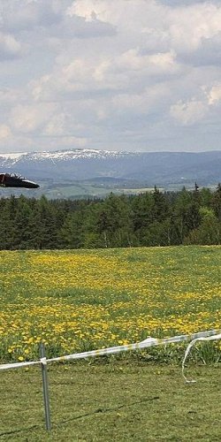 2012 Svojek mirek sobota